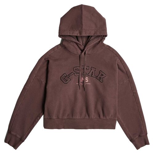 G-Star Collegic Hoodie